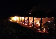 Incendiu violent în Călata! 11 animale au ars de vii (FOTO)
