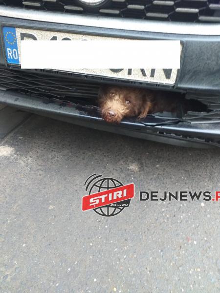 83566190_2682319555179610_2425552427882119168_o