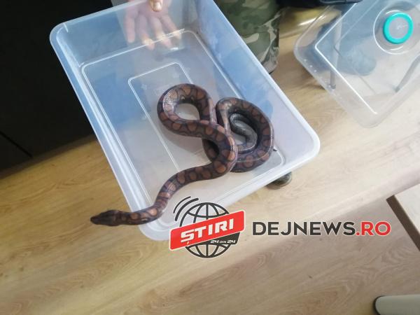 33c7500a-37be-4f2b-b305-0b7ee5082ab2