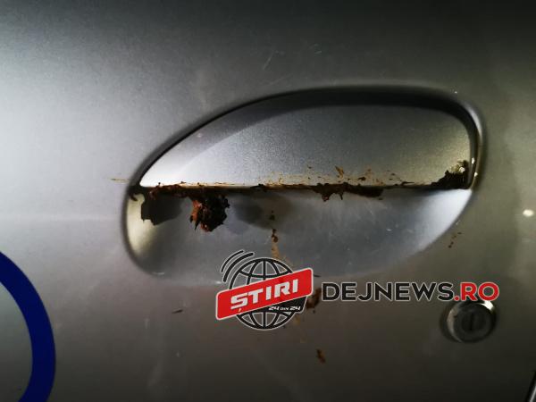 85048462_3369549156405330_2884404782208909312_o