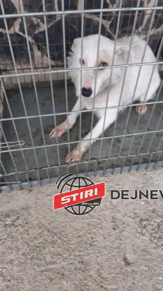 WhatsApp Image 2020-02-05 at 10.54.12