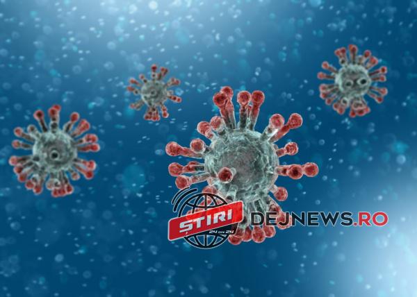 Coronavirus-blue-and-pink-illustration-1024x732