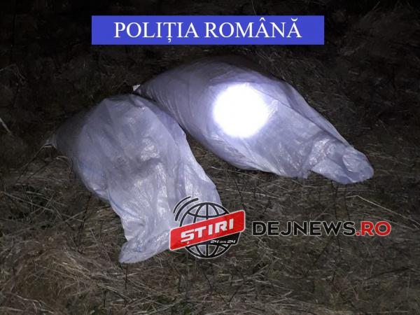 efb17876-c2e7-4212-8ede-b34462a464db