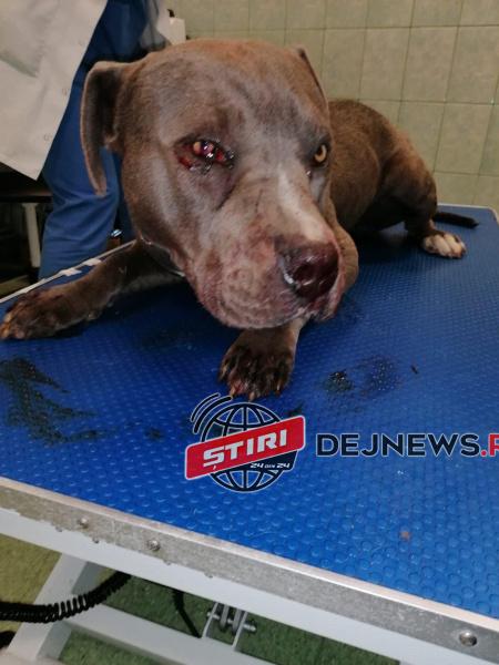 94076910_1284432445280916_3118755047035371520_n