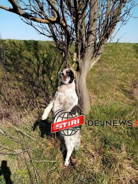 94421612_179003906559593_7570170701500383232_n