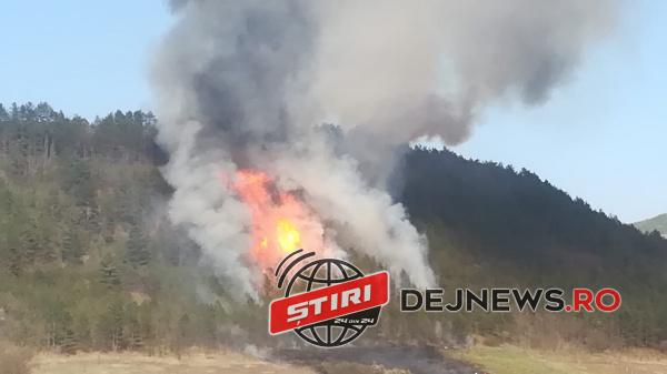 WhatsApp Image 2020-04-23 at 11.13.34