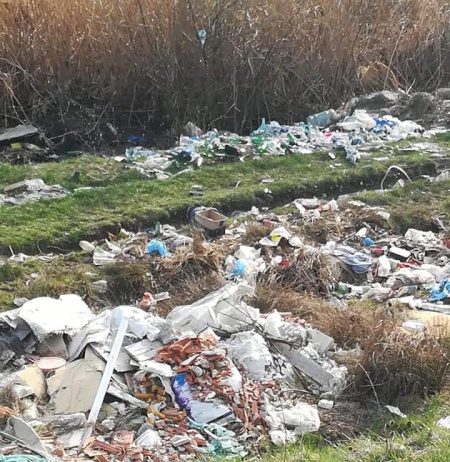 ABA Someș-Tisa s-a autosesizat în legătură cu deșeurile semnalate în localitatea Florești (FOTO)