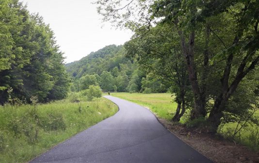 Au fost finalizate lucrările de asfaltare pe drumul județean 103J Alunișu – Săcuieu – Vișagu (FOTO)