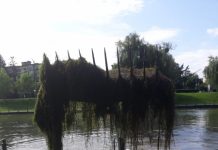 Intervenții cu utilajul amfibiu pentru curățarea Someșului Mic și a lacurilor din Gheorgheni (FOTO)