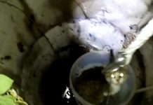 Pisică salvată dintr-o fântână de către de pompierii dejeni (VIDEO)