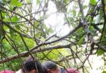 Bărbat căzut de la înălţime în Cheile Tureni! Au intervenit salvamontiştii clujeni (FOTO)