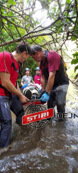 116336286_3394388897262282_7563603056758047850_o