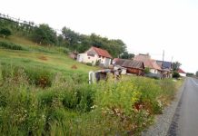 Accident rutier cu două maşini în Dăbâca! Una din ele s-a răsturnat în afara şoselei (FOTO)