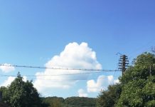 Circulația rutieră restricționată pe drumul județean 109 Răscruci – Borșa – Vultureni (FOTO)