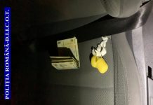 Grupare de traficanți de droguri, destructurată de polițiștii și procurorii DIICOT Satu Mare (FOTO)
