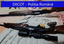 VIDEO – O familie întreagă din Tureac cultiva cannabis într-o poiană