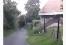 VIDEO – Femeie sechestrată și bătută într-un sat din Cluj. Agresorii sunt reținuți – VIDEO