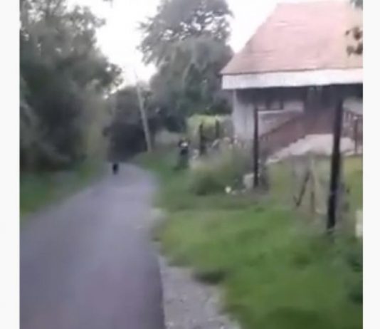 VIDEO – Femeie sechestrată și bătută într-un sat din Cluj. Agresorii sunt reținuți – VIDEO