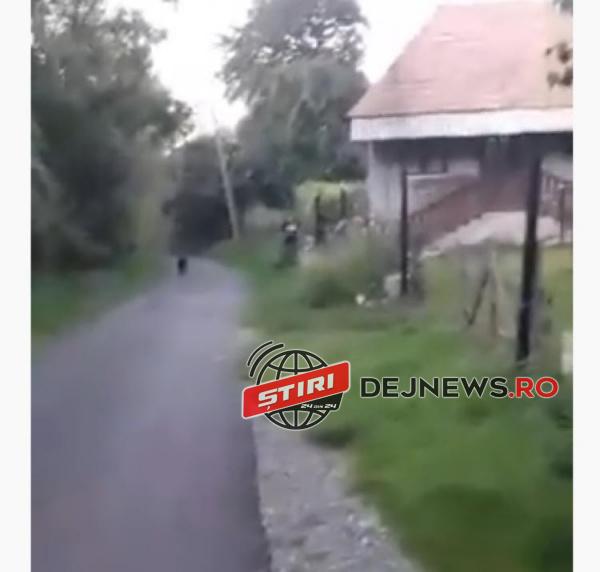 cluj agresiune