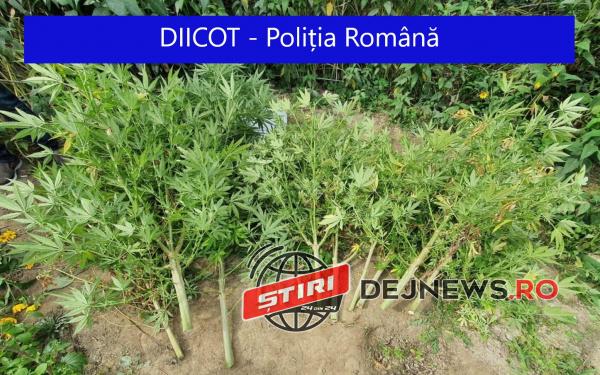 WhatsApp-Image-2020-09-28-at-14.13.14