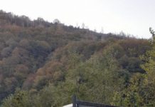 Acţiune pe linia silvică desfăşurată de poliţiştii clujeni! Au fost aplicate 70 de amenzi (FOTO)