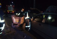 ACCIDENT: Un cal a murit după impactul dintre o căruţă şi o maşină (FOTO)