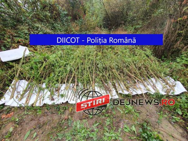 WhatsApp-Image-2020-10-28-at-13.12.43