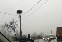 5 maşini implicate într-un accident rutier pe centura Gherlii (VIDEO/FOTO)