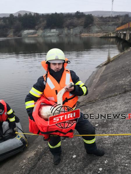 WhatsApp Image 2020-12-15 at 19.01.53