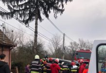 Accident în Dej! Maşină răsturnată după ce a lovit un copac (FOTO)