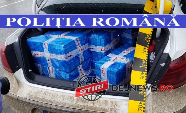 FOTO-ACTIUNE-DEJ-NR.2