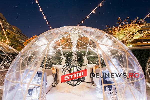 Watergate-Kingbird-2017_11_03_igloo_winter_6