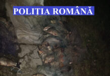 Furt de peşte la Geaca! Au fost prinşi 2 bărbaţi din Gherla cu 122 de kilograme de peşte (FOTO)