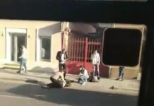 Tânără din Baia Mare lovită de un autobuz pe o trecere de pietoni din Cluj-Napoca (FOTO)