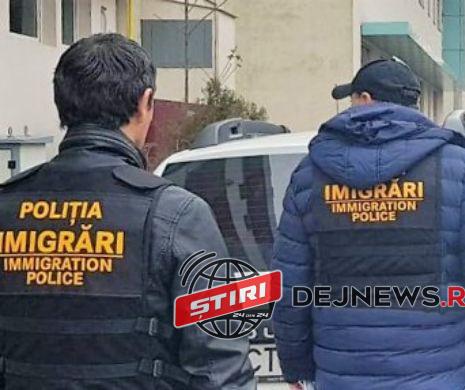 politie imigrari