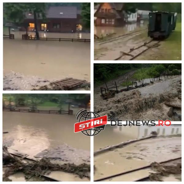 199276169_1206326369797706_1530819253548470316_n