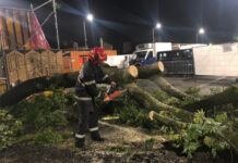 Furtună în Cluj-Napoca: mașini sub apă, copaci căzuți, cabluri de electricitate rupte (FOTO)