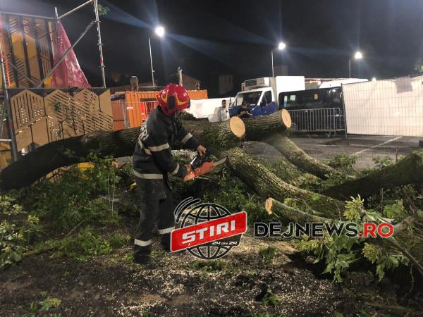 WhatsApp-Image-2021-07-19-at-01.45.08