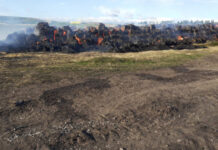 Incendiu violent în Ceanu Mic! Aproape 3000 de baloţi de paie au fost distruşi (FOTO)