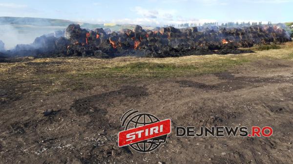 WhatsApp-Image-2021-08-06-at-09.16.58