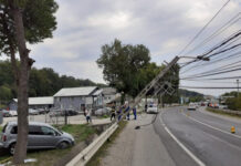 Accident în Dej! Doi copii şi o femeie au fost răniţi (FOTO)