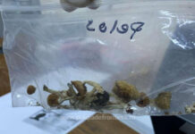 American prins pe aeroportul din Cluj cu ciuperci halucinogene! Le-a zis poliţiştilor că merge la un festival (FOTO)