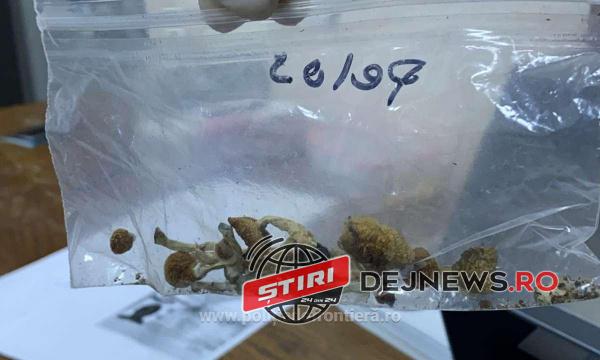 1631190432300-14314-S4