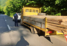 3 amenzi pentru delicte silvice în judeţul Cluj (FOTO)