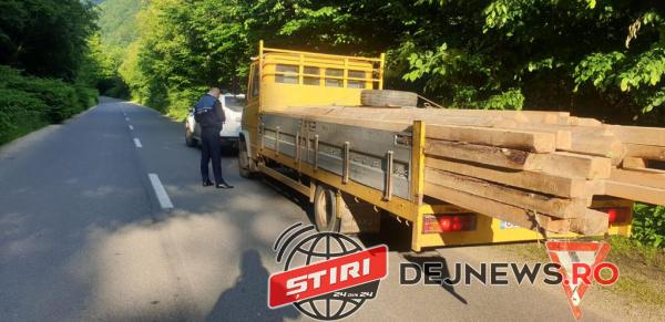 FOTO ACȚIUNE SILVICĂ