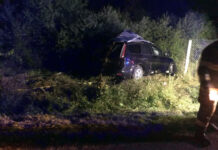 Şoferiţă rănită între Nireș și Mănăstirea după ce a lovit cu maşina un cal lăsat nesupravegheat (FOTO)