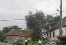 Peste 40 de amenzi aplicate de poliţiştii dejeni, în doar câteva ore (FOTO)