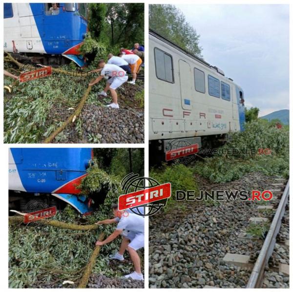 287309040_1471170706647465_1113209752885305754_n