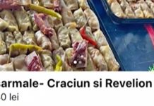 Tânăra care a înșelat lumea că oferă cazare pentru Untold lovește din nou. A păcălit gospodinele din Cluj că le face sarmale de Sărbători