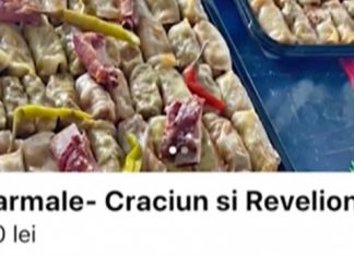 Tânăra care a înșelat lumea că oferă cazare pentru Untold lovește din nou. A păcălit gospodinele din Cluj că le face sarmale de Sărbători